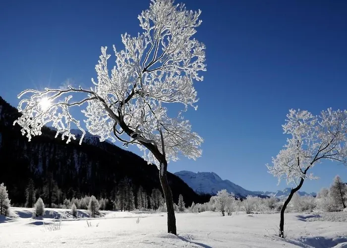 Appartamento Arnica 2 By Interhome La Punt-Chamues-ch