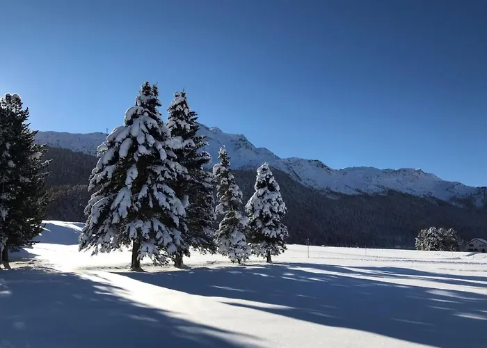 Arnica 2 By Interhome * لا بانت شاموس سي إتش